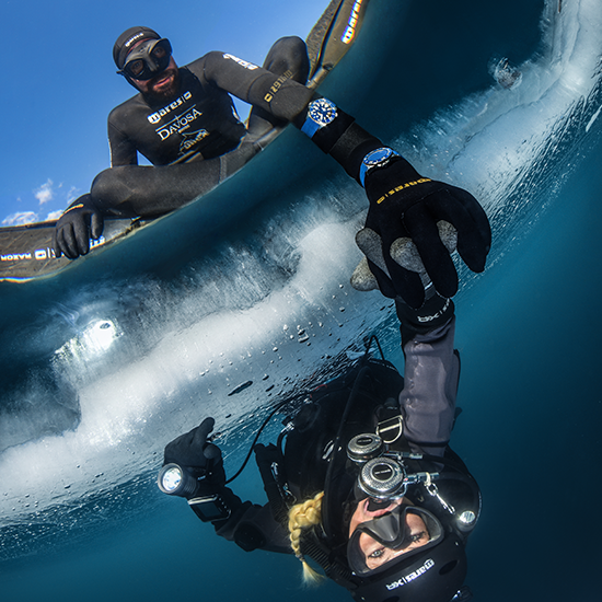 Scuba Diving Vs Free Diving - Forest Blu Maldives